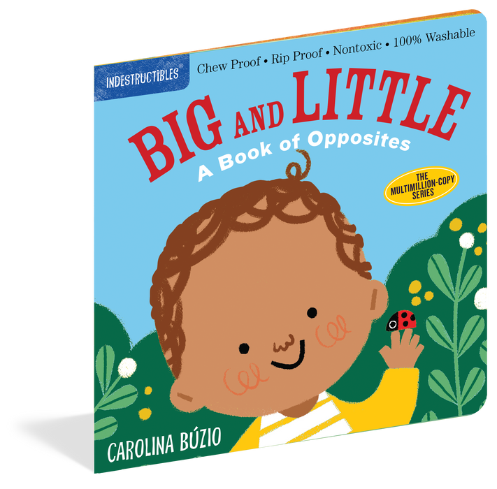 Indestructibles: Big and Little: A Book of Opposites