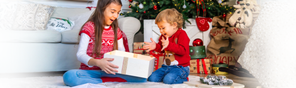 Your Local Holiday Toy Store - Shop All Toys