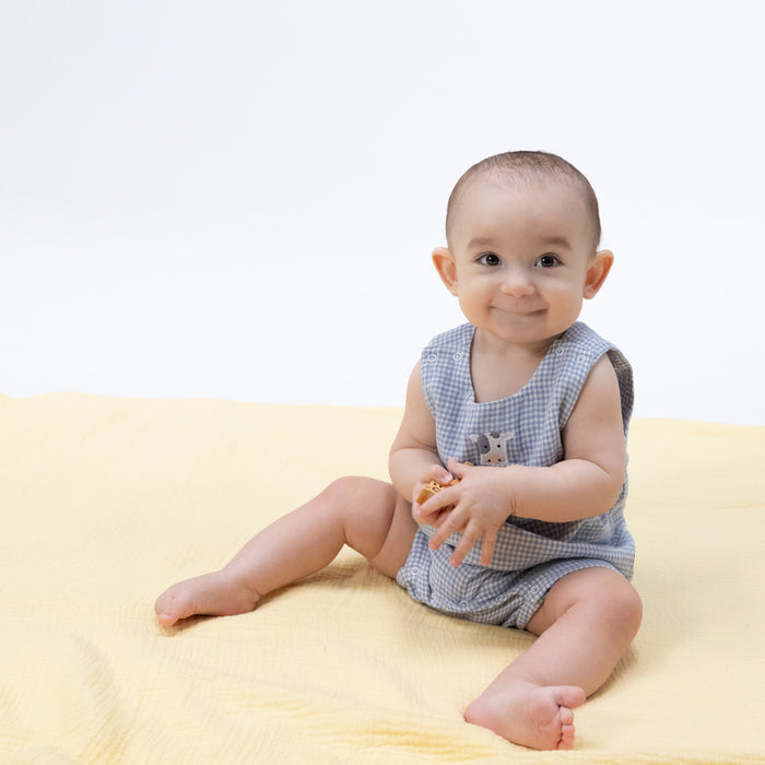 Angel Dear Cute Farm Animals Jon Jon w/Short Sleeve Bodysuit