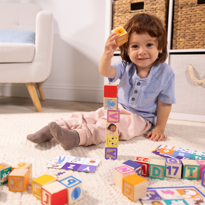 Ms. Rachel Wooden Learning Blocks & Activity Cards