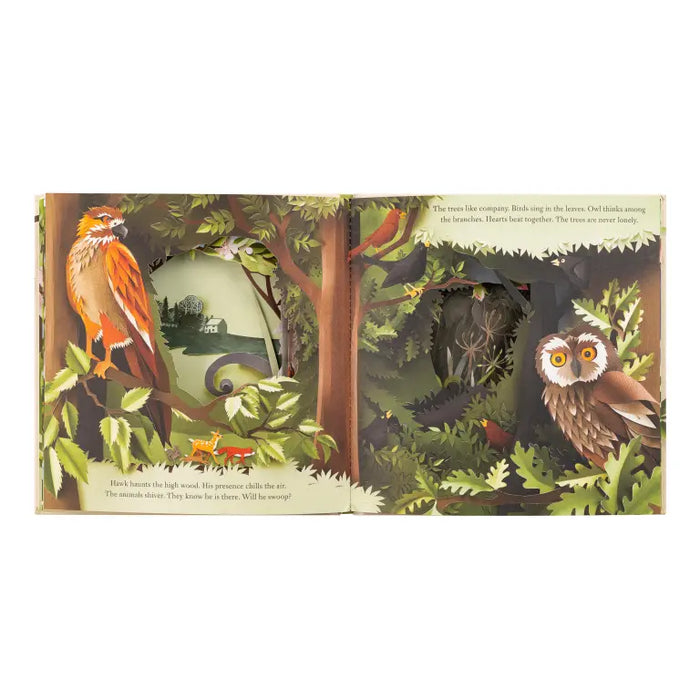 Workman Publishing A Walk Through the Woods