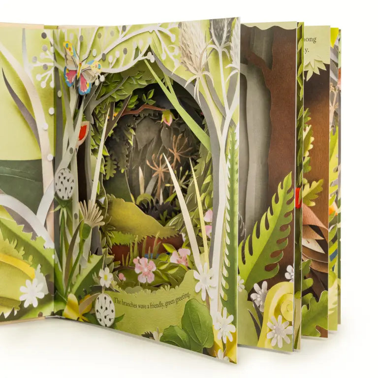 Workman Publishing A Walk Through the Woods