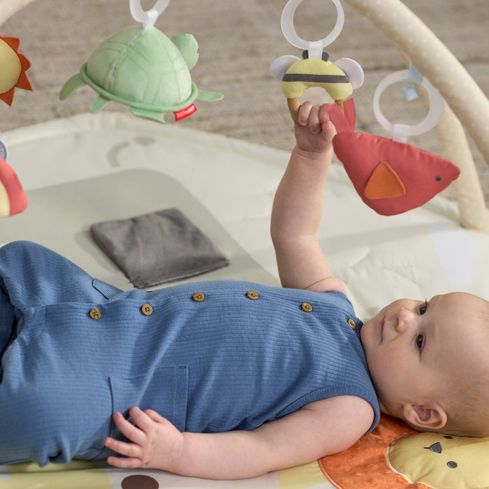 Skip Hop Geometric Wonders Baby Play Gym