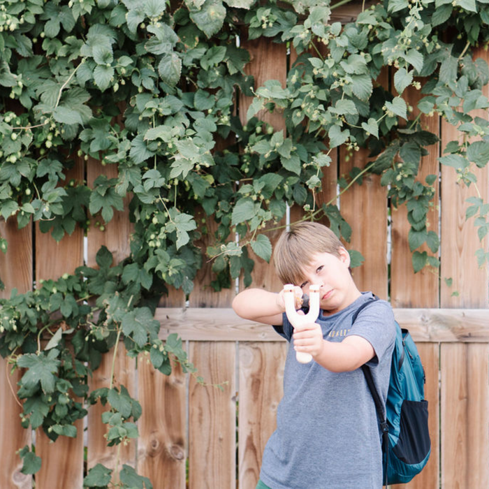 Wild Life Adventures Bold Explorer Outdoor Adventure Kit