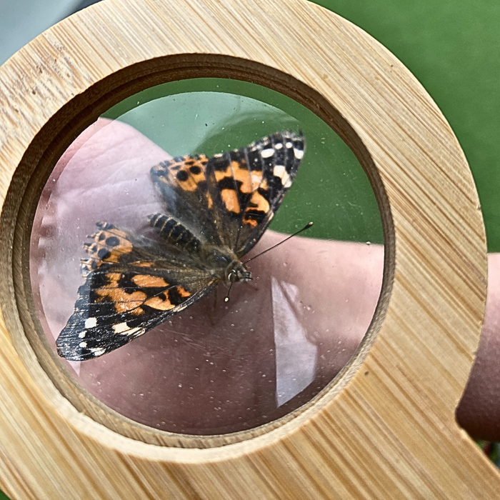 Wild Life Adventures Eye Spy Magnifying Glass