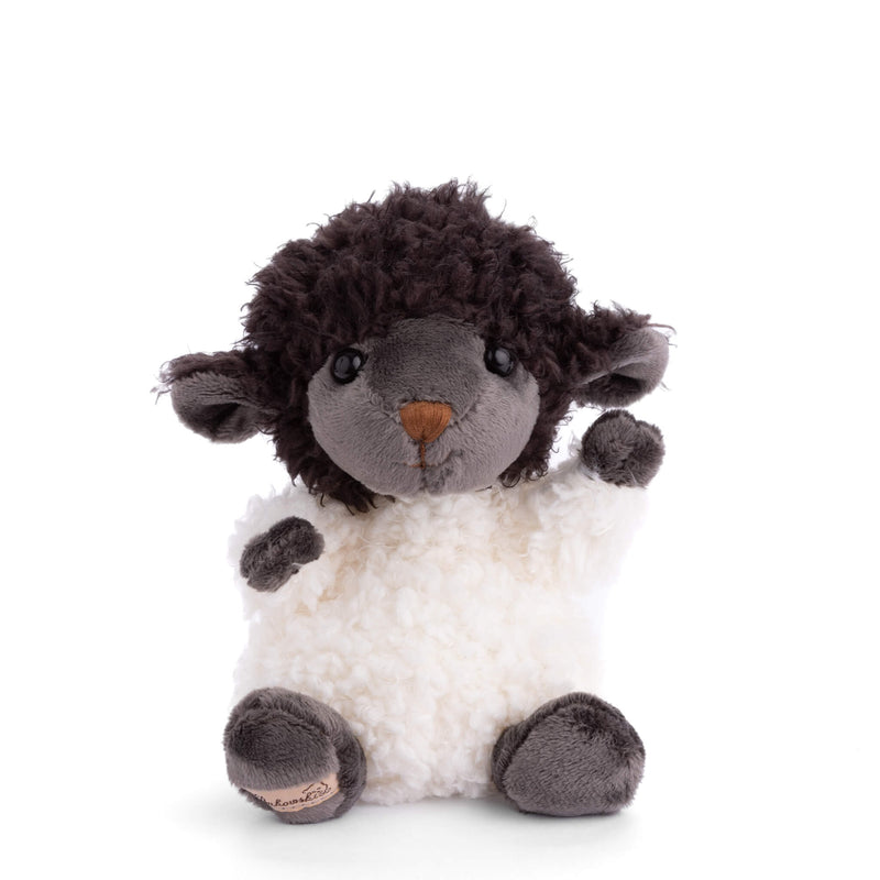Bukowski Black Sheep