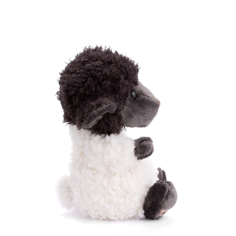 Bukowski Black Sheep