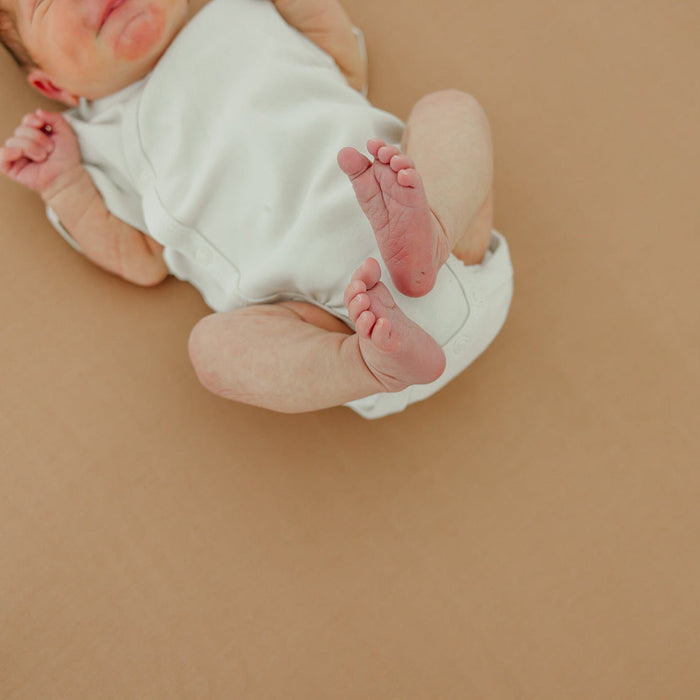 Copper Pearl Premium Knit Fitted Crib Sheet | Pecan
