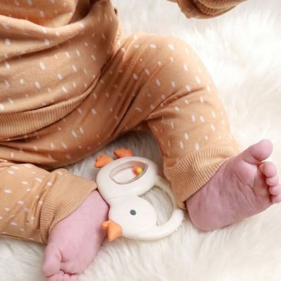 Itzy Ritzy Bitzy Shake Rattle Teether Goose
