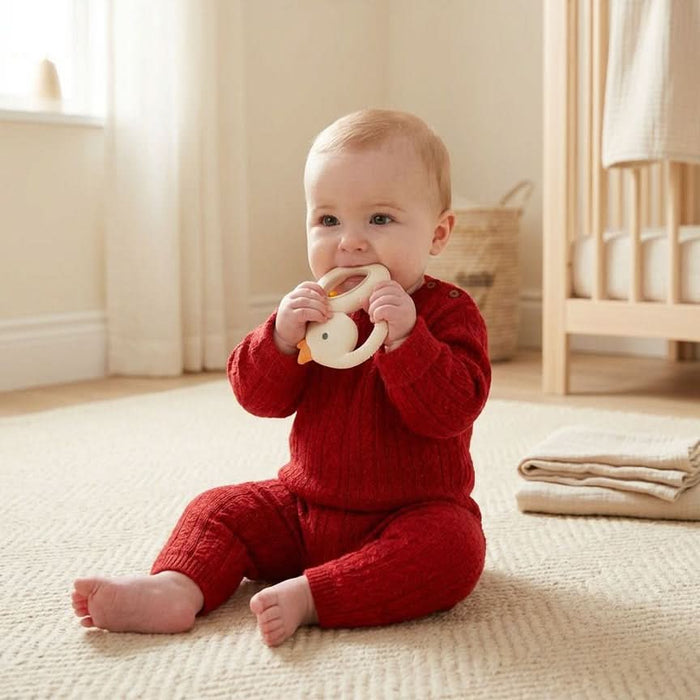 Itzy Ritzy Bitzy Shake Rattle Teether Goose