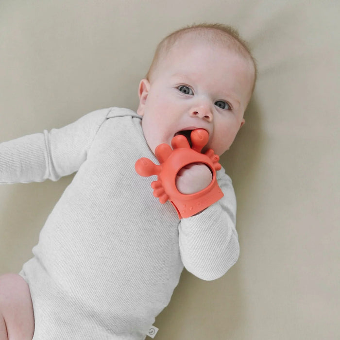 Itzy Ritzy Bitzy Grip Chew Crab Teether