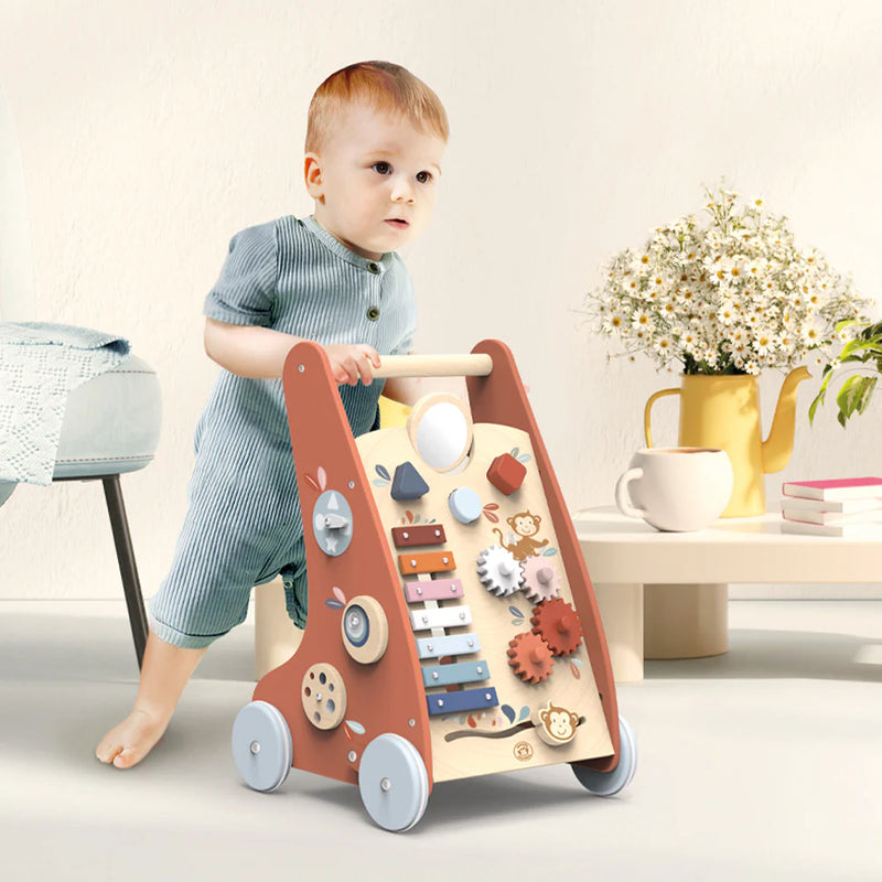 Speedy Monkey Multi-Activity Walker
