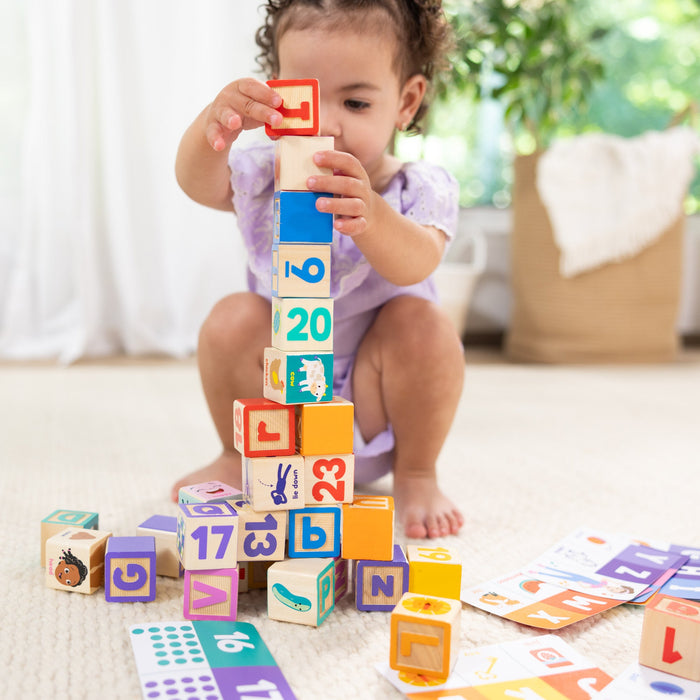 Ms. Rachel Wooden Learning Blocks & Activity Cards