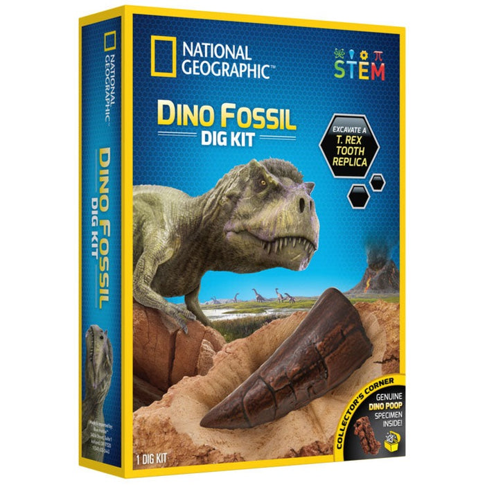 Discover with Dr. Cool National Geographic Dino Fossil Dig Kit