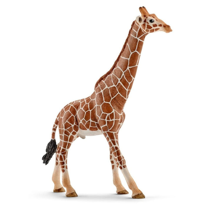 Schleich Giraffe - Male