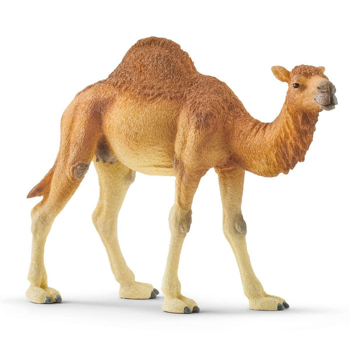 Schleich Camel