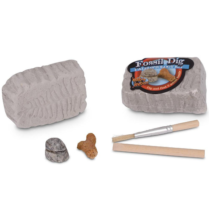 Heebie Jeebies Pocket Money Science | Fossil Dig | Mini Paleo kit