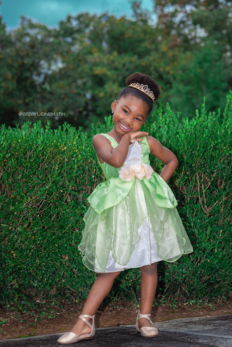 Princess dress size clearance 4