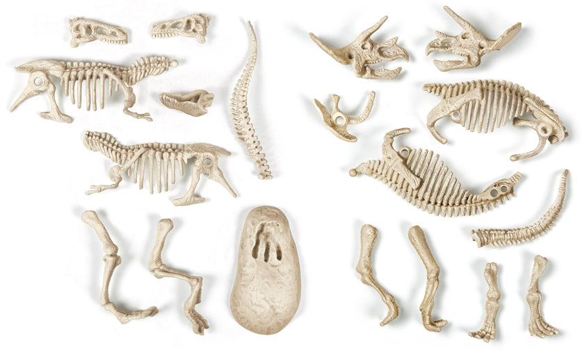 Creative Toy Co. Archeofun - T-Rex & Triceratops