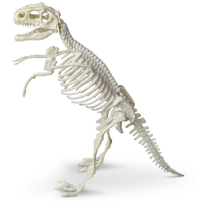Heebie Jeebies Palaeontology Kit | Tyrannosaurus