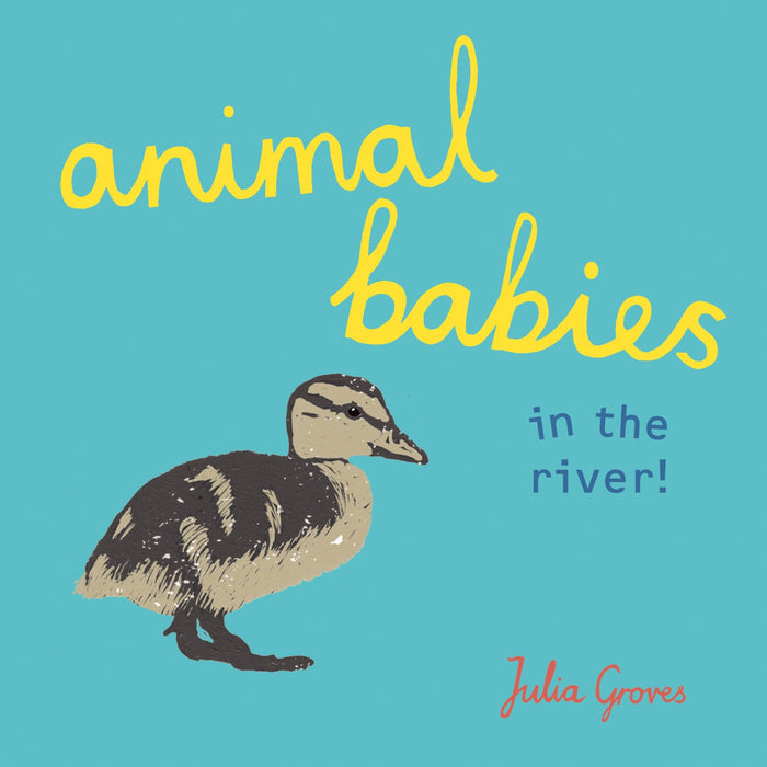 Animal Babies in the River Board Book