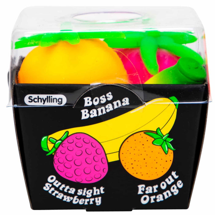 Schylling Groovy Fruit NeeDoh