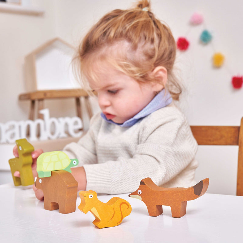 Le Toy Van Forest Stacker & Bag