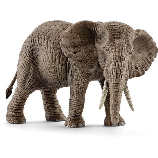 Schleich African Elephant, female