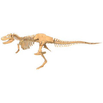 Thames & Kosmos I Dig it Dinos! Giant Dinosaur Skeleton Kit